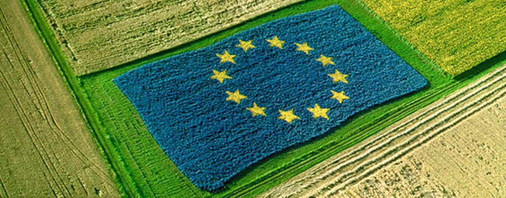 La Commissione Europea rivede le politiche agricole
