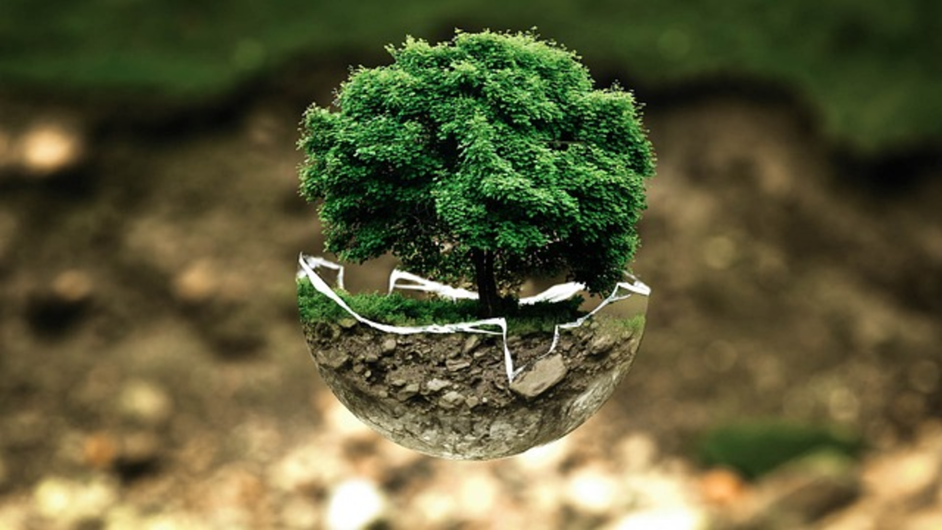 MEF: un rapporto per gli investimenti frutto dei BTP Green