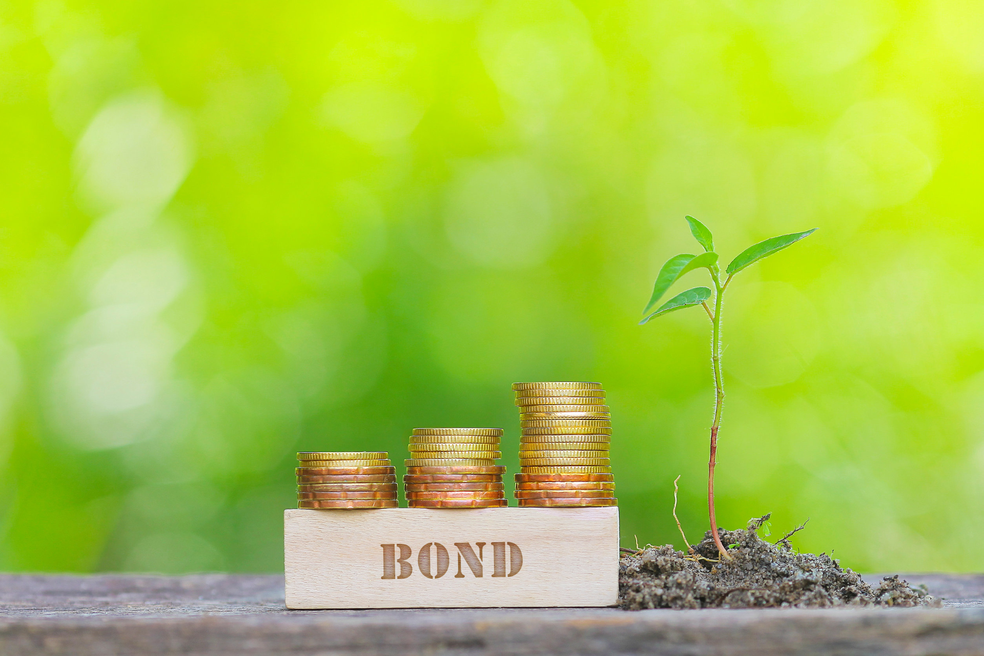 Sostenibilità Credem: emesso secondo bond progetti ambientali