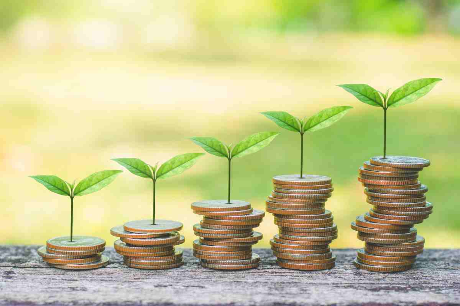 UE: 1,1mld di aiuti per la transizione Green