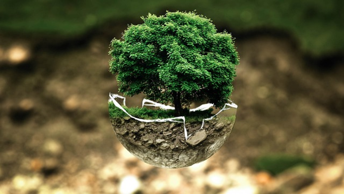 MEF: un rapporto per gli investimenti frutto dei BTP Green